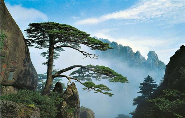 黃山